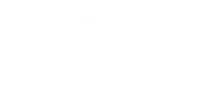 Leiden University